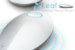 Leaf 1