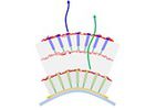 LED Flexible