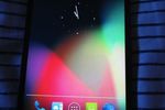 LG_E960_Mako_Nexus-GNT_a