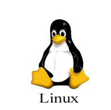linux logo large