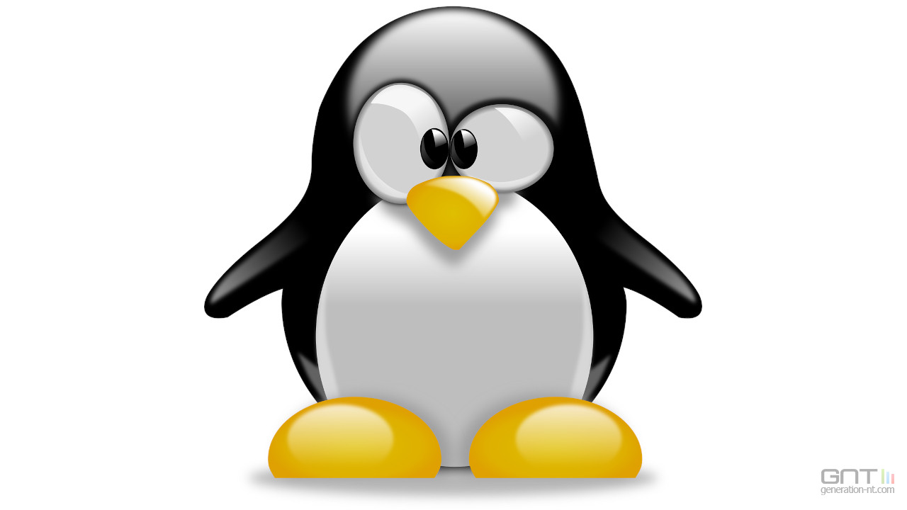 Un crime de lèse-majesté ? La nouvelle commande sudo ose les astérisques