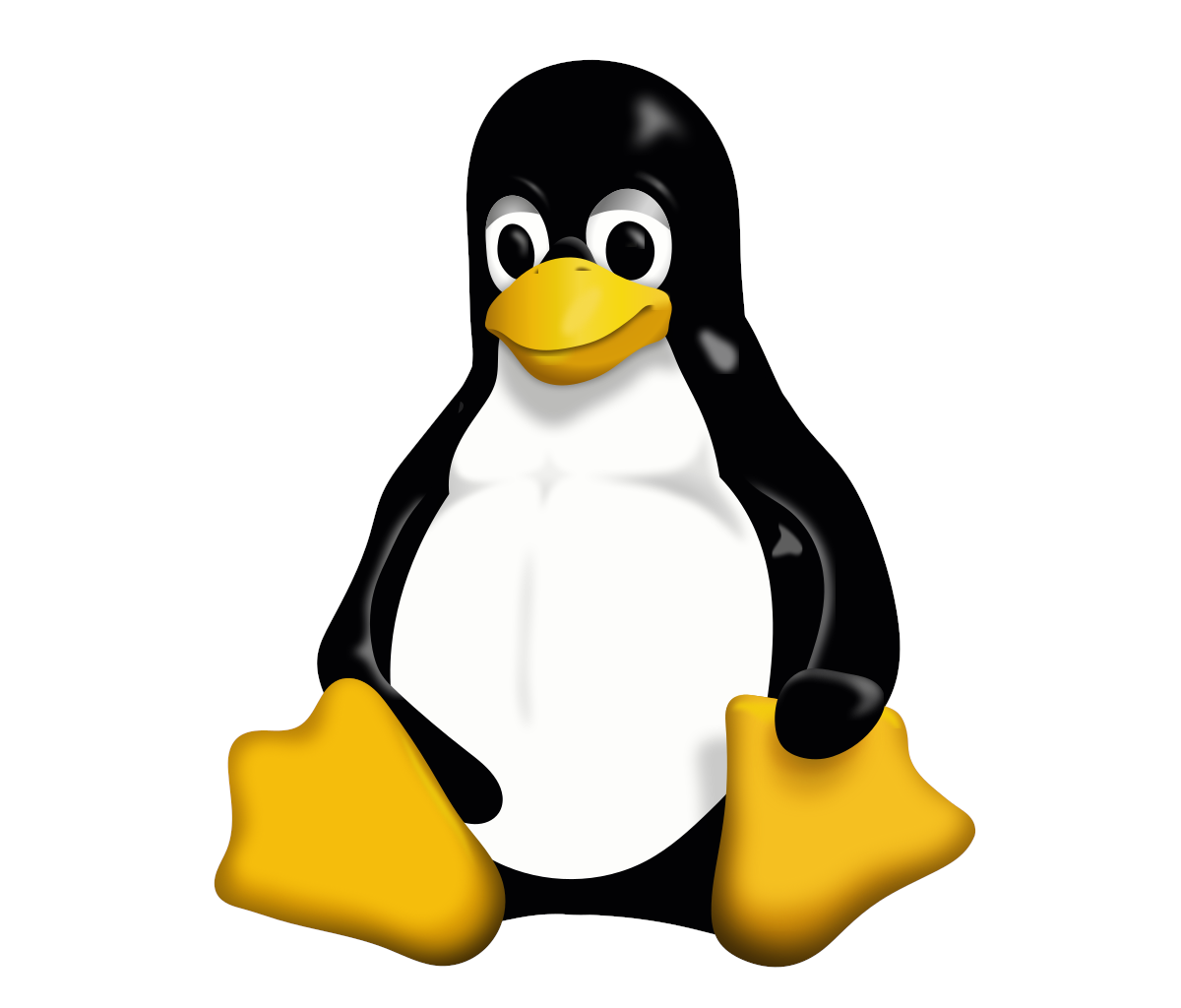 La version 5.8 du noyau Linux disponible