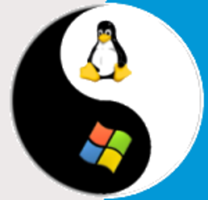 linux windows colinux logo