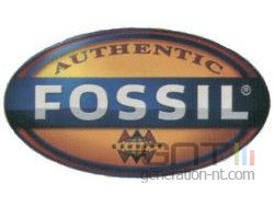 Logo fossil small