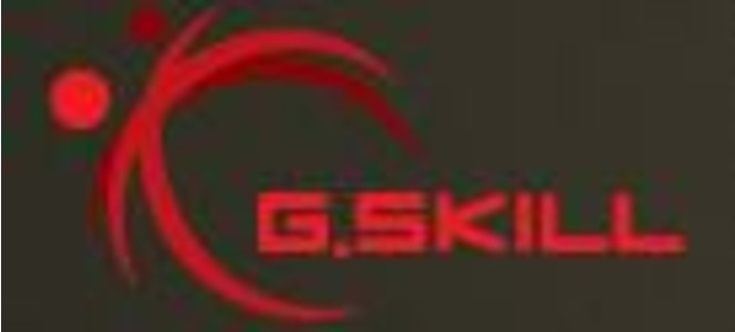 Logo G.Skill