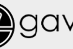 Logo Gavio