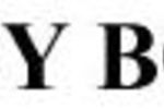 Logo Icy Box