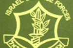 Logo IDF