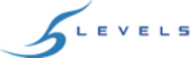 Logo Level-5