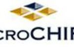Logo Microchips