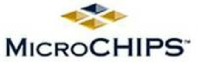 Logo Microchips