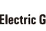 Logo Nippon Electric Glass