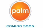 Logo palm
