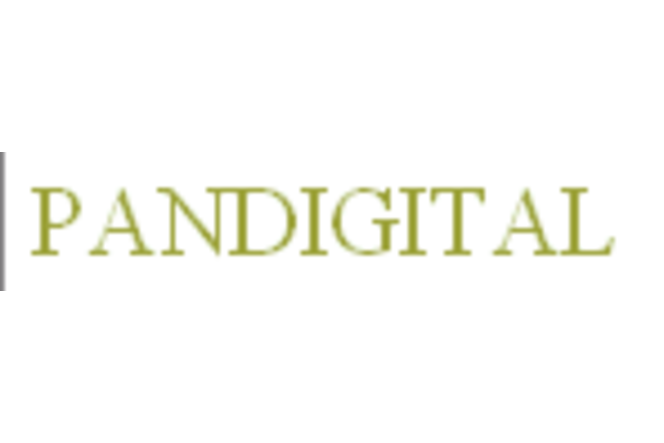 Logo Pandigital