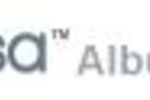 Logo Picasa Albums Web