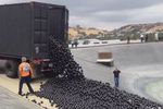 Los Angeles eau balles noires