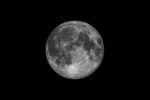 lune
