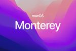 macos-monterey