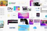 macos-monterey