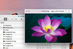 macos-quick-look