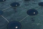 Marine Solar Cells