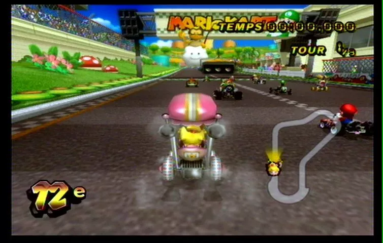 Mario Kart Wii (27)