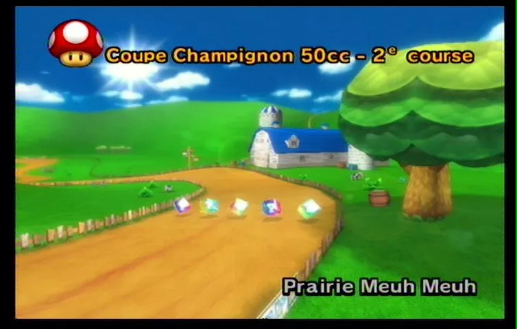 Mario Kart Wii (31)