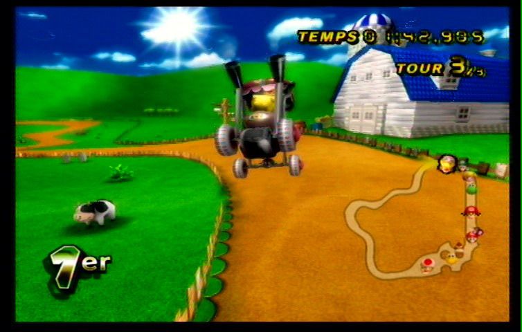 Mario Kart Wii (34)