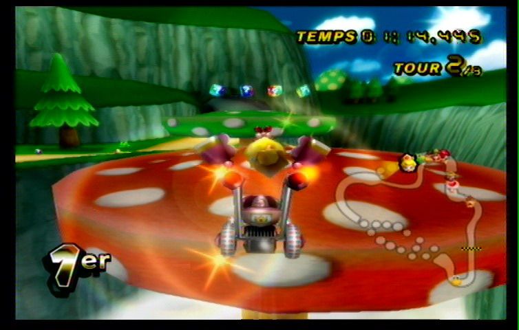 Mario Kart Wii (40)