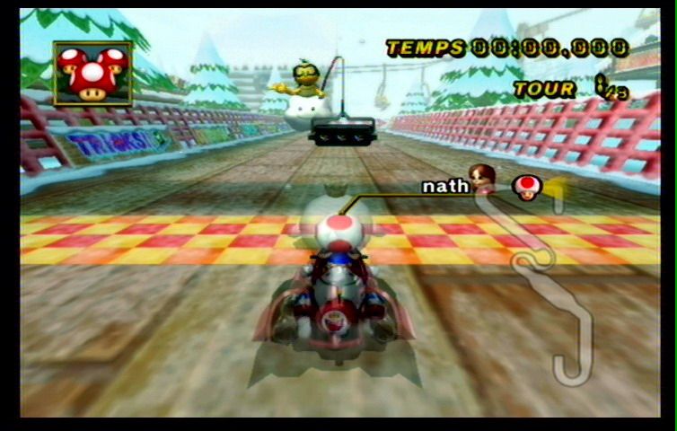 Mario Kart Wii (50)