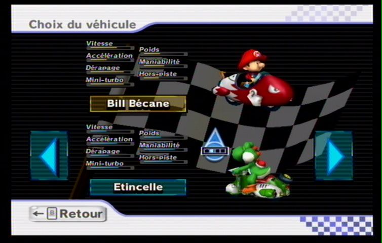 Mario Kart Wii (66)