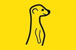 Meerkat 1
