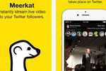 Meerkat