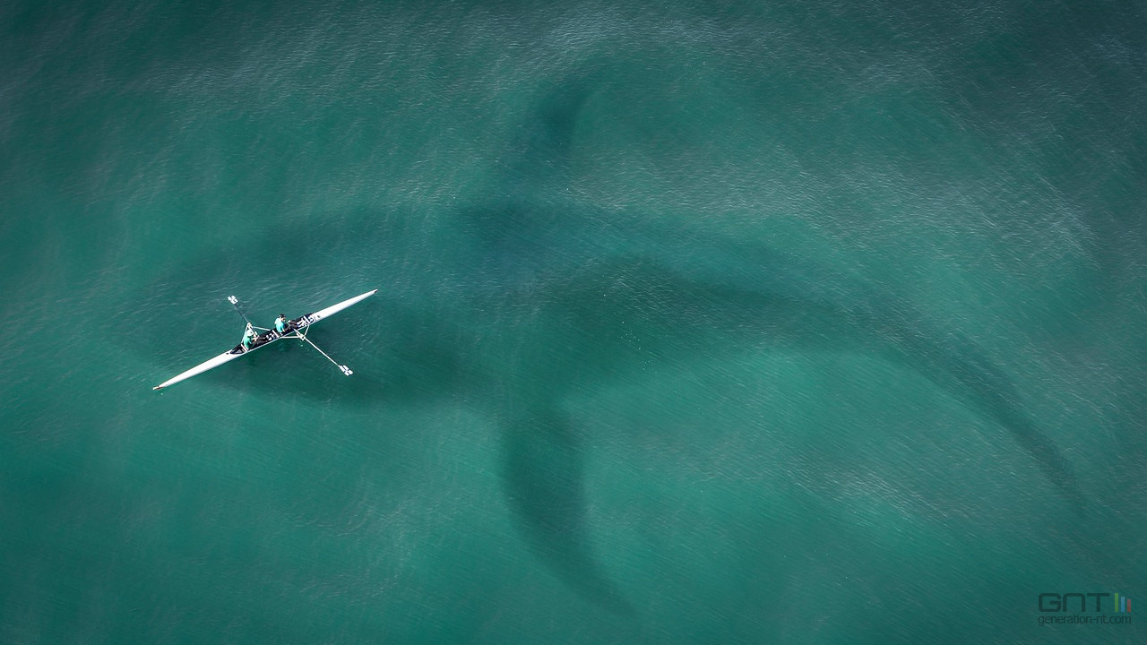 Megalodon : plusieurs milliers de dépôts GitHub infectés en quelques heures
