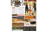 Metal Saga DS (Small)