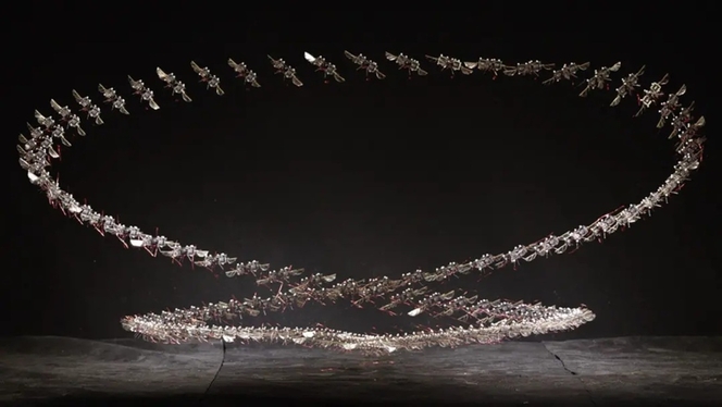 microrobot MIT insecte vol agilite