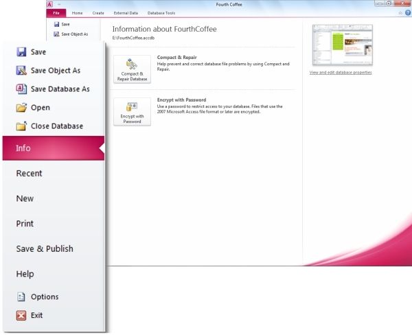 Microsoft Office_Access_2010 screen
