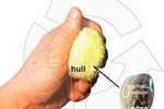 Microsoft Research Soap souris souple