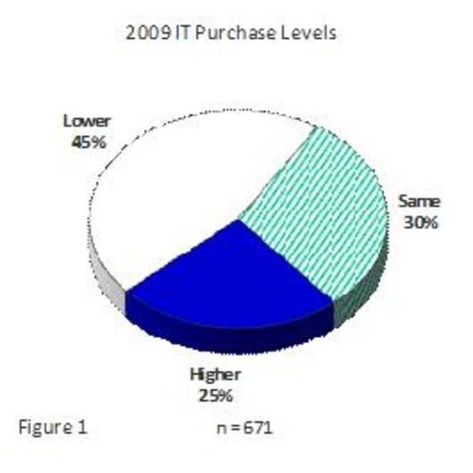 Microsoft SMB Insight Report 2009 logo pro