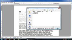 Microsoft Word Viewer screen2
