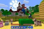 Minecraft switch