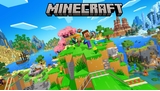 Après 14 ans de marche, ce joueur atteint enfin le bout de Minecraft