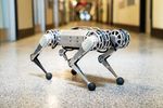 mini-cheetah-mit