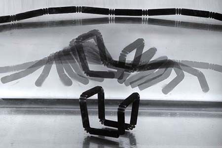 MIT 4D