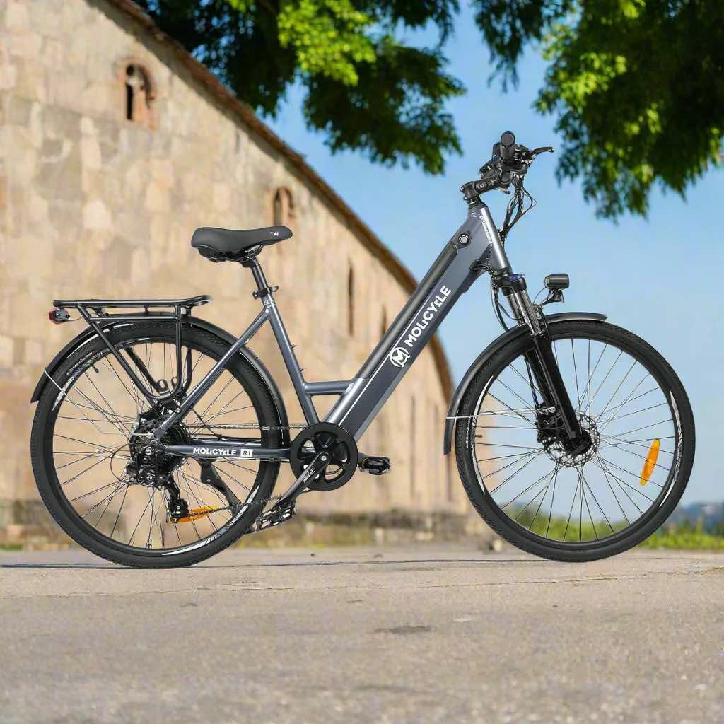 Molicycle R1