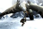 Monster Hunter 3 - 2
