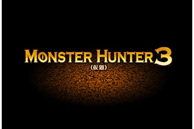 Monster Hunter 3 - Image 1