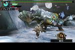 Monster Hunter Portable 3rd - 4