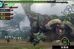 Monster Hunter Portable 3rd HD (2)