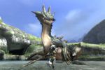 Monster Hunter Tri - 2